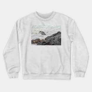 Jump Around Crewneck Sweatshirt